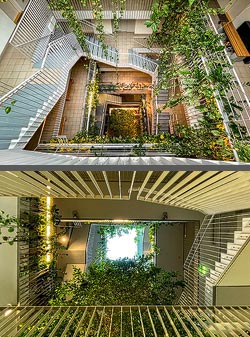 Stiegenhaus/Treppenhaus in einem Wohnhaus in Wien, Österreich